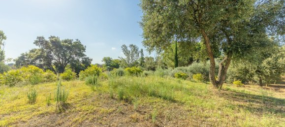 12غرفة فيلا في Montalto di Castro, Italy رقم 297090 3