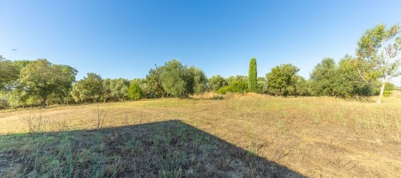 12غرفة فيلا في Montalto di Castro, Italy رقم 297090 11