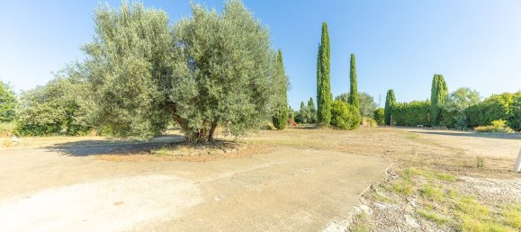 12غرفة فيلا في Montalto di Castro, Italy رقم 297090 13