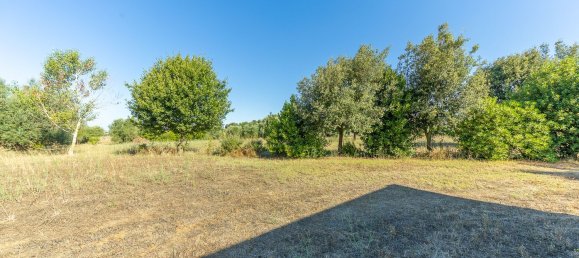 12غرفة فيلا في Montalto di Castro, Italy رقم 297090 14