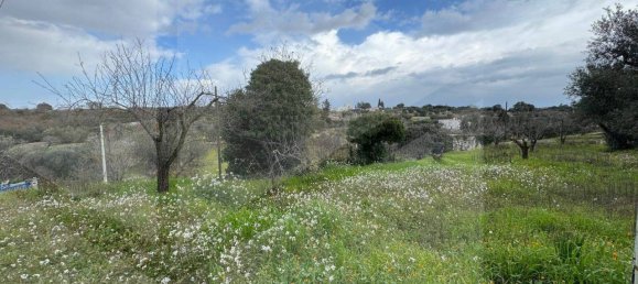 Villa de 4 habitaciónes en Monopoli, Italy No. 17136 8