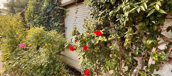 Casa de 2 dormitorios en Cottbus, Germany No. 363985 10