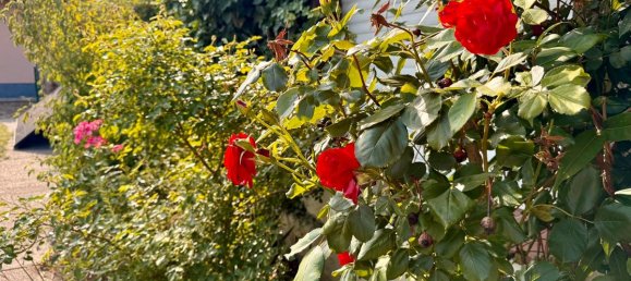 Casa de 2 dormitorios en Cottbus, Germany No. 363985 11