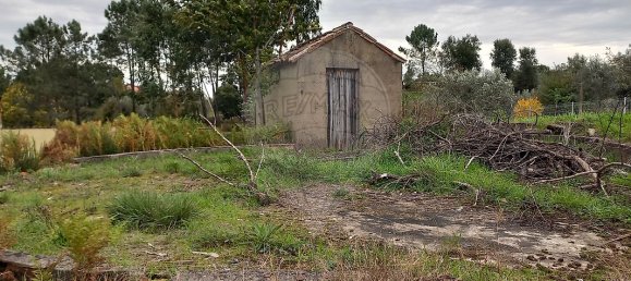 1 غرف نوم منزل في Serta, Portugal رقم 37350 11