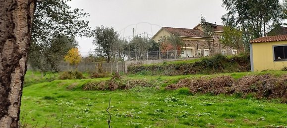 1 غرف نوم منزل في Serta, Portugal رقم 37350 13