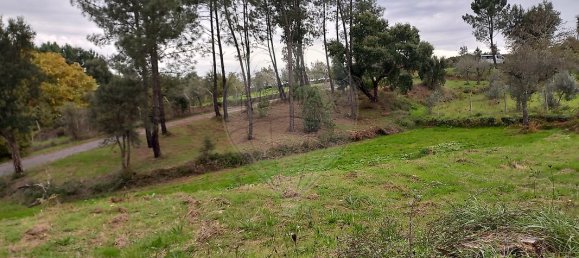 1 غرف نوم منزل في Serta, Portugal رقم 37350 7