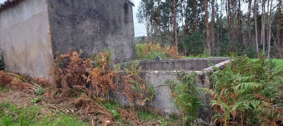 1 غرف نوم منزل في Serta, Portugal رقم 37350 9