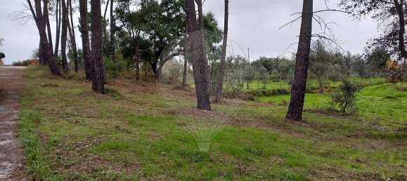 1 غرف نوم منزل في Serta, Portugal رقم 37350 14