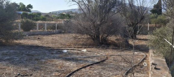 Земельный участок в Аликанте, Испания № 134262 13