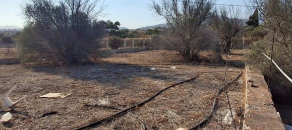 Земельный участок в Аликанте, Испания № 134262 15