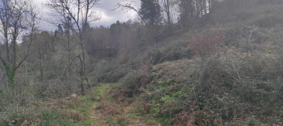  قطعة أرض في Terras de Bouro, Portugal 10000متر مربع رقم 79719 5