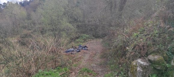  قطعة أرض في Terras de Bouro, Portugal 10000متر مربع رقم 79719 3