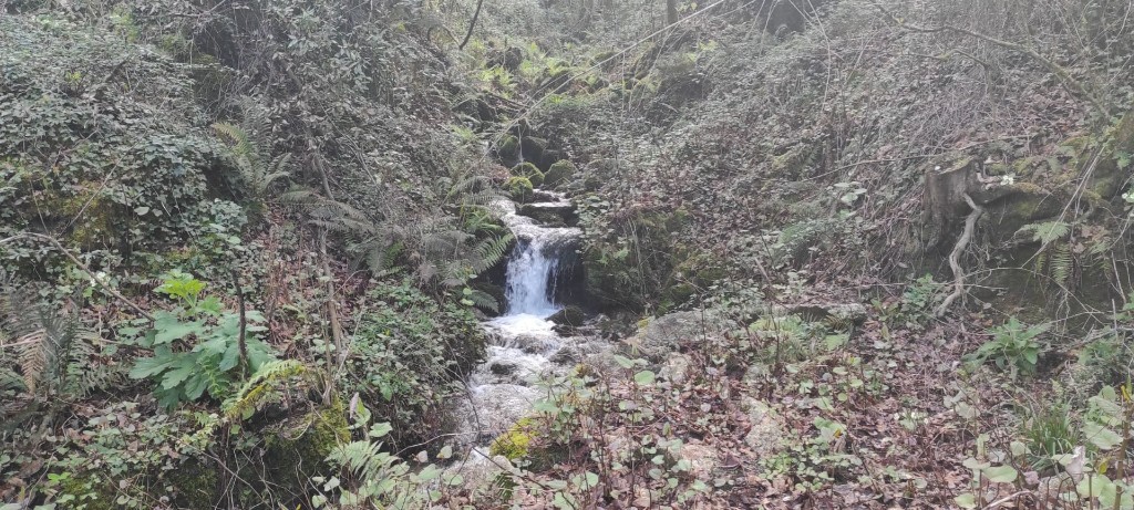  قطعة أرض في Terras de Bouro, Portugal 10000متر مربع رقم 79719