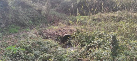  قطعة أرض في Terras de Bouro, Portugal 10000متر مربع رقم 79719 4