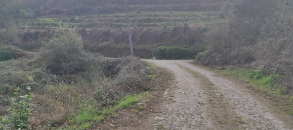  قطعة أرض في Terras de Bouro, Portugal 10000متر مربع رقم 79719 2