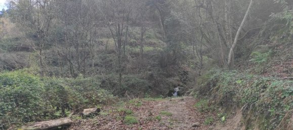  قطعة أرض في Terras de Bouro, Portugal 10000متر مربع رقم 79719 6