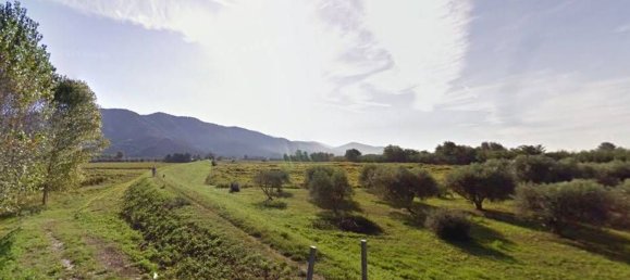 4-Zimmer Wohnung in Vecchiano, Italy, Nr. 37841 3