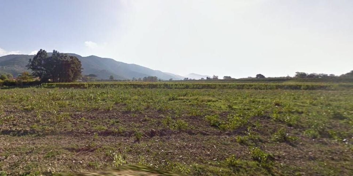 4-Zimmer Wohnung in Vecchiano, Italy, Nr. 37841