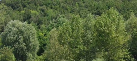 4-Zimmer Wohnung in Vecchiano, Italy, Nr. 37841 10