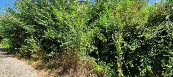 4غرفة منزل في Viterbo, Italy رقم 202107 14