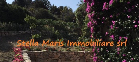 Дом с 1 спальней в Палау, Италия № 66332 4