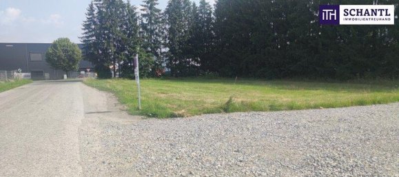 Land in Werndorf, Austria No. 163921 11