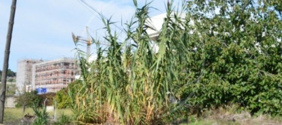  قطعة أرض في Lisbon, Portugal رقم 89559 2