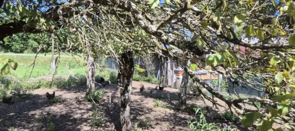 Terrain à Feistritz im Rosental, Austria No. 243915 4