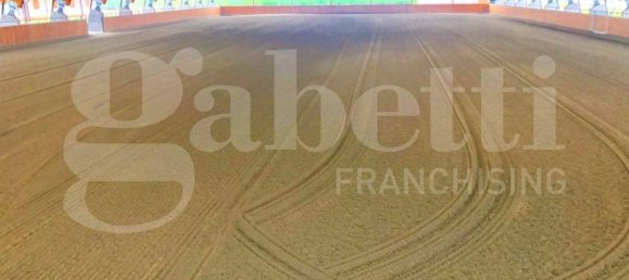 Edifício de 20 divisões em Seniga, Italy N.º 124125 16