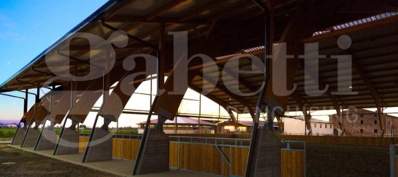 Edifício de 20 divisões em Seniga, Italy N.º 124125 14