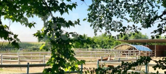 Edifício de 20 divisões em Seniga, Italy N.º 124125 19