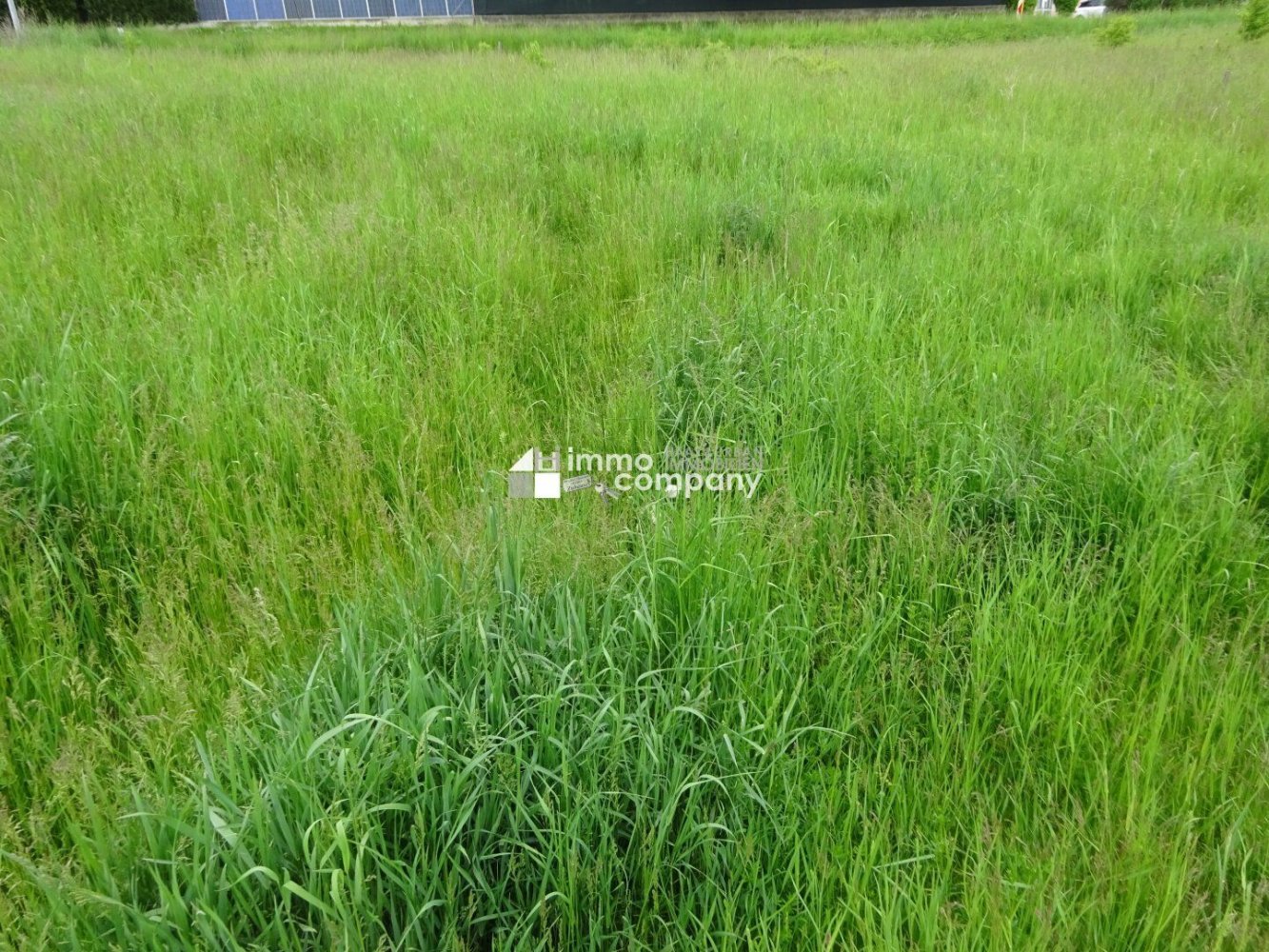  Land in Horn, Austria No. 133914