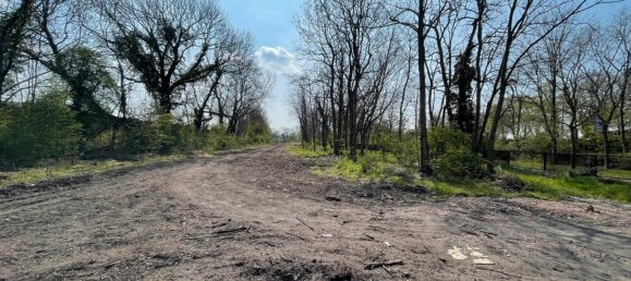 Terreno en Salzlandkreis, Germany No. 217891 3