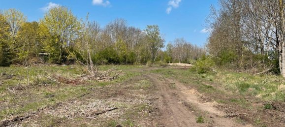 Terreno en Salzlandkreis, Germany No. 217891 4