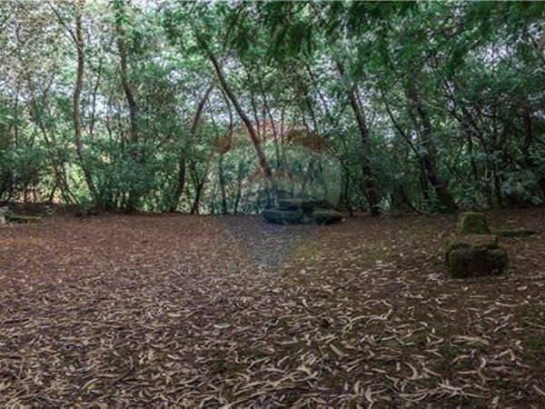 1 bedroom House in Resende, Portugal No. 49949