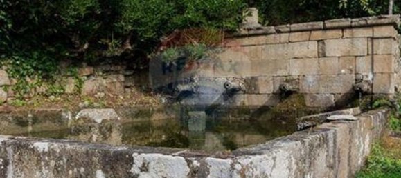 1 bedroom House in Resende, Portugal No. 49949 12