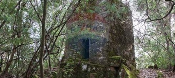 1 bedroom House in Resende, Portugal No. 49949 3