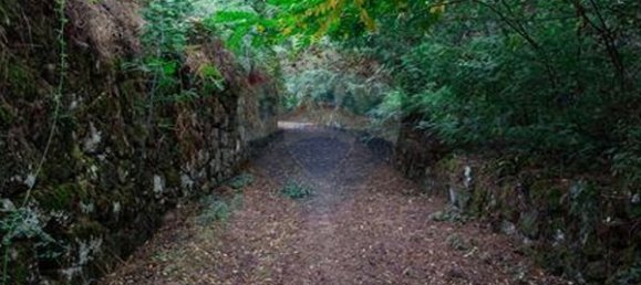 1 bedroom House in Resende, Portugal No. 49949 7