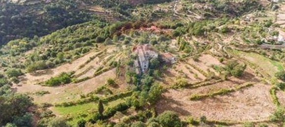 1 bedroom House in Resende, Portugal No. 49949 2