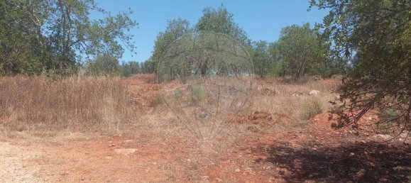 استوديو في Paderne, Portugal رقم 72799 10