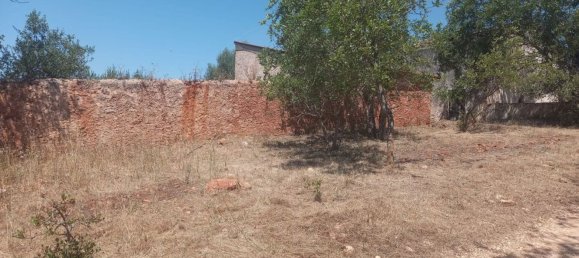 استوديو في Paderne, Portugal رقم 72799 15