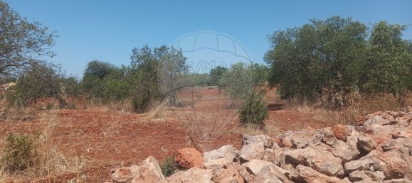 استوديو في Paderne, Portugal رقم 72799 17