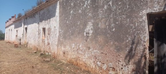 استوديو في Paderne, Portugal رقم 72799 3