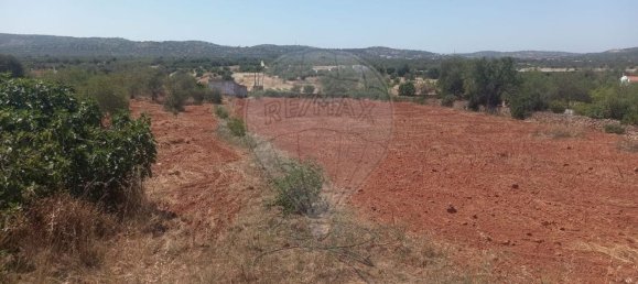 استوديو في Paderne, Portugal رقم 72799 6