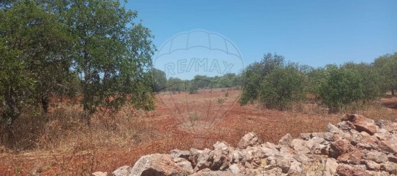 استوديو في Paderne, Portugal رقم 72799 14