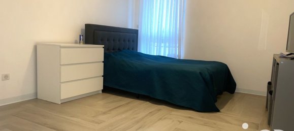 5 bedrooms House in Marckolsheim, France No. 237535 16