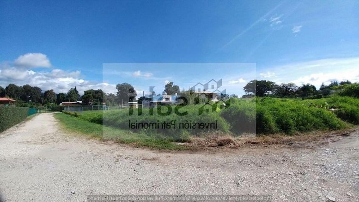 Земельный участок в Веракрус, Мексика № 205634