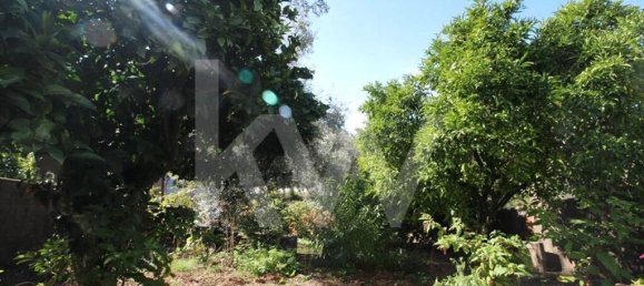 Casa de 2 dormitorios en Pessegueiro, Portugal No. 74552 18