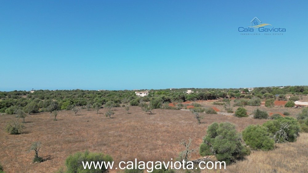  قطعة أرض في Ses Salines, Spain 17000متر مربع رقم 91949