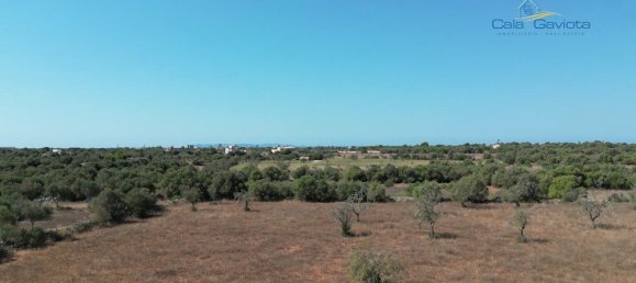  قطعة أرض في Ses Salines, Spain 17000متر مربع رقم 91949 4